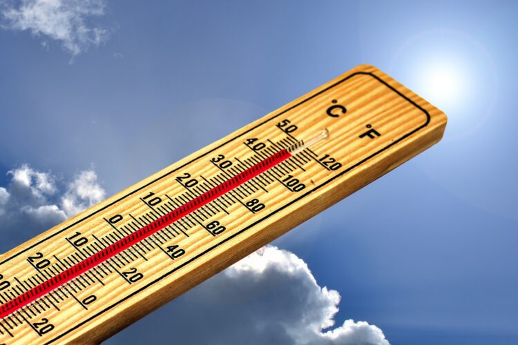 El calor extremo lleva a la OMS a reforzar la vigilancia sanitaria de embarazadas y niños